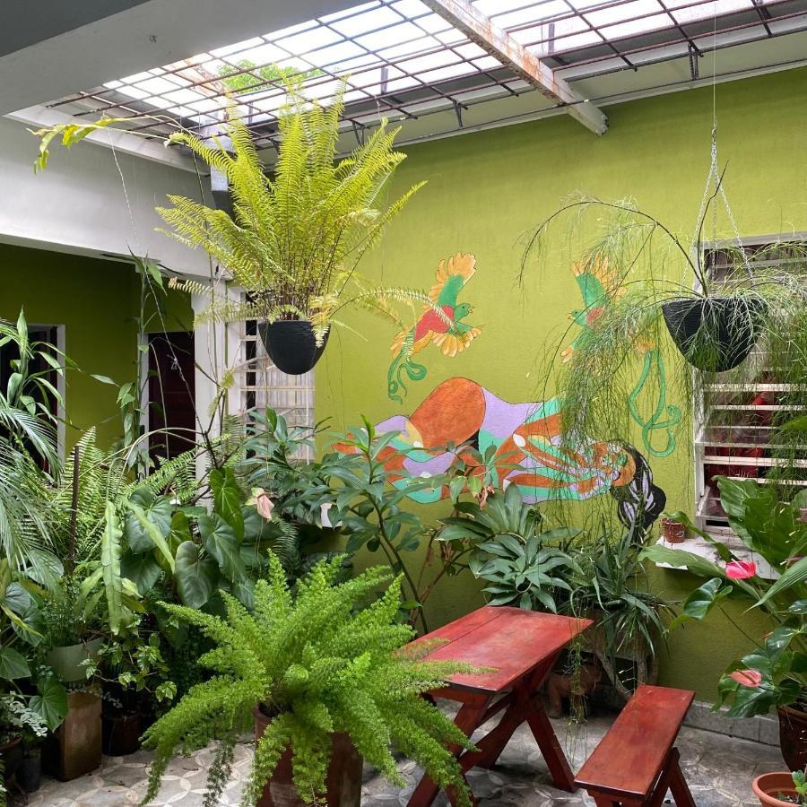 Hostal Cumbres Del Volcan Flor Blanca 산살바도르 외부 사진
